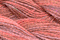 Caron Wildflowers 183 - Santa Fe