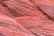 Caron Wildflowers 183 - Santa Fe