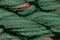 Caron Waterlilies 003 Meadow