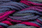 Caron Waterlilies 008 Nefertiti