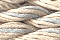 Caron Waterlilies 130 Eggshell