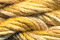 Caron Waterlilies 176 Golden Grains