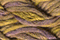 Caron Waterlilies 212 Burnished Coin
