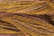 Caron Wildflowers 212 - Burnished Coin