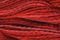 Caron Wildflowers 217 - Chili