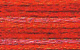 DMC Color Variation 4200