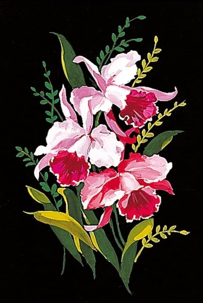 Orchidee