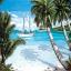 Tropici