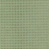 Supporto plastificato (carta): Oliva