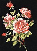 Ramo di rose