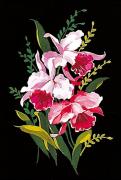 Orchidee