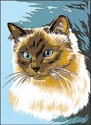 Gatto siamese