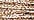 5005 Gold Coin (#8)