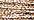 5005 Gold Coin (#8)