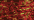 307 Deep Coral (#4)