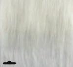 Capelli: Bianco