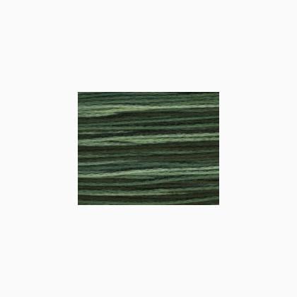 Bravo! A131 - Spruce Green