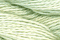 Caron Waterlillies 242 Celery