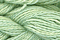 Caron Wildflowers 228 - Honeydew