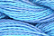 Caron Wildflowers 233 - Glacier