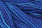 Caron Wildflowers 235 - Tanzanite