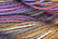 Caron Wildflowers 239 - Wheatfields