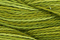 Caron Wildflowers 243 - Pesto