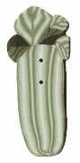 2237 - Celery