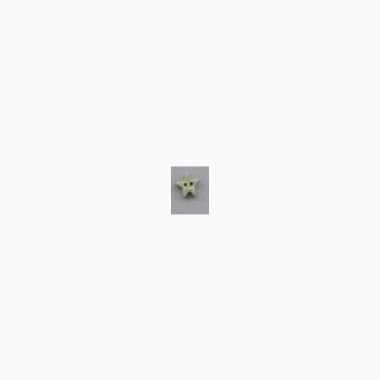 3463S - Small Pale Sage Star