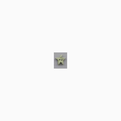 3463M - Medium Pale Sage Star