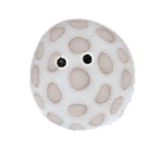 4588 - Golf Ball