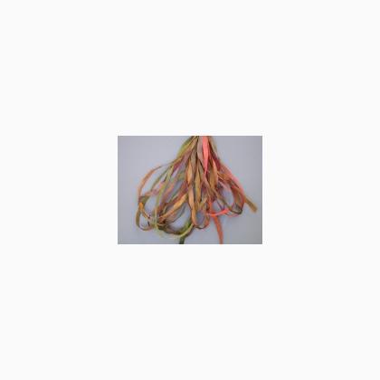 SR4-077 - Fall Foliage