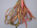 SR4-077 - Fall Foliage
