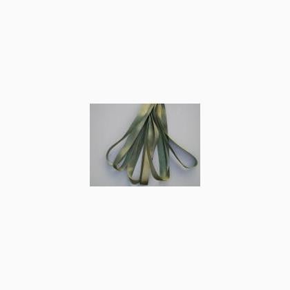 SR4-117 - Elizabethan Green