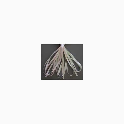 SR4-137 - Rosebud