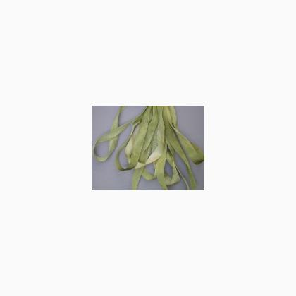 SR7-053 - Granny Smith Green