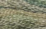 DMC Color Variation 4065