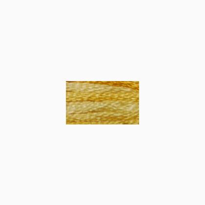 DMC Color Variation 4075