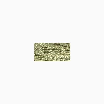 Simply Shaker: Green Apple