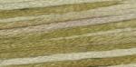 WDW 1221 Latte