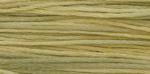 WDW 2210 Citronella