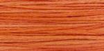 WDW 2244 Grenadine