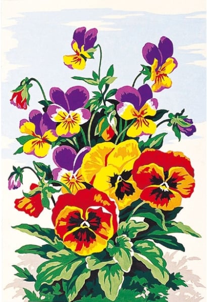 Fiori: Pansé