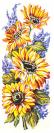 Girasoli e fiori blu