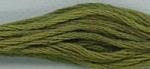 Bean Sprout