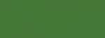 Colore Acrilico opaco - verde irlandese