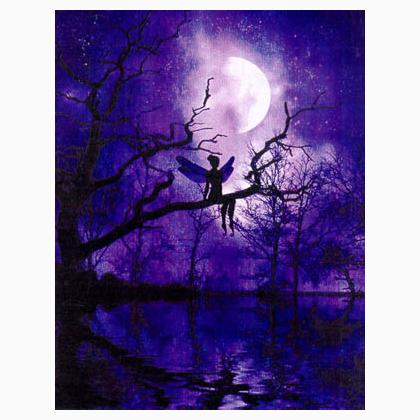 Julie Fain: Celestial Night