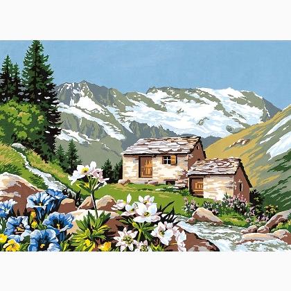 Pascolo montano fiorito