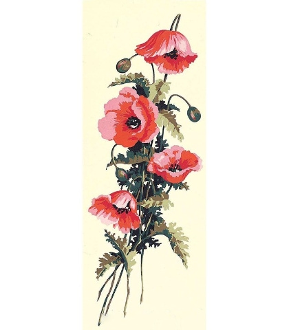Fiori di campo II°