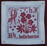 Alfabetario: H come Helleborus